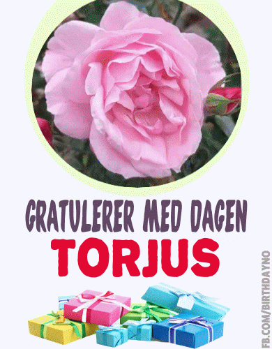 Gratulerer Med Dagen Torjus