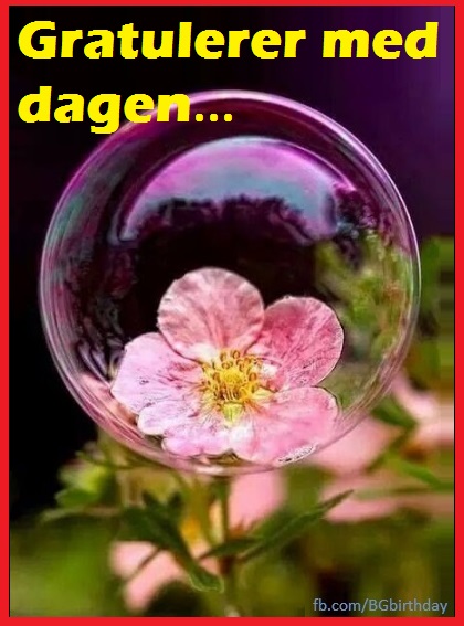 Gratulerer Med Dagen
