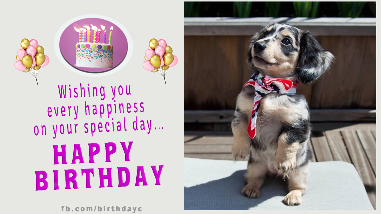 Happy Birthday,Cute dog,birthday wishes card