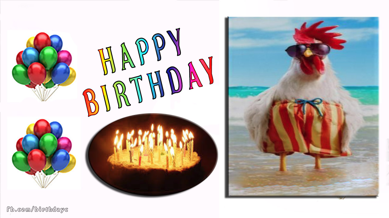 Funny birthday greeting card