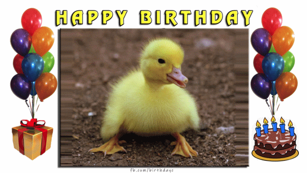 Happy Birthday