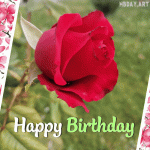 red rose birthday card gif