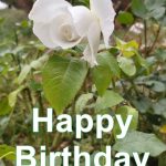 Happy Birthday