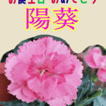 お誕生日おめでとう芽依 陽葵