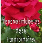 Love lyrics
