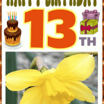 happy 13th birthday
