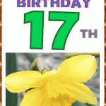 happy 17th birthday