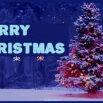 Merry Christmas cards