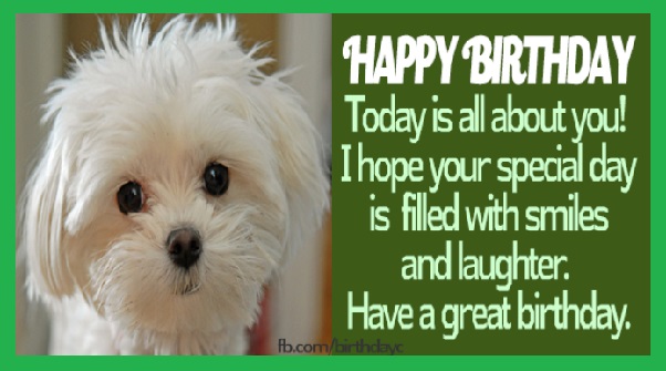 cute dog birthday card